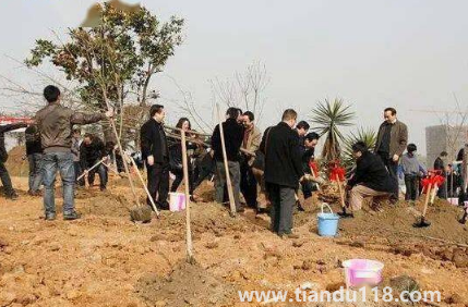 霜降以后還能種樹嗎(霜降后果樹能栽活嗎)(圖3) 霜降以后還能種樹嗎3