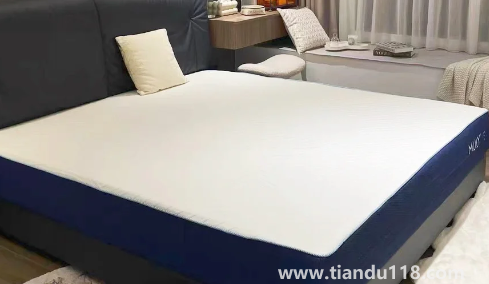 椰棕會不會生蟲子(給孩子買硬棕墊要不要配一層乳膠)(圖1) 椰棕會不會生蟲子1