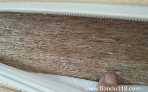 椰棕會不會生蟲子(給孩子買硬棕墊要不要配一層乳膠)(圖3) 椰棕會不會生蟲子3