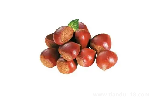 板栗生吃熟吃哪個(gè)更好（吃板栗的注意事項(xiàng)）