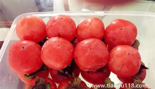 火葫蘆柿子吃軟的還是硬的3