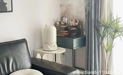 加濕器uv殺菌有用嗎(紫外線消毒燈白天可以用嗎)(圖3) 加濕器uv殺菌有用嗎3