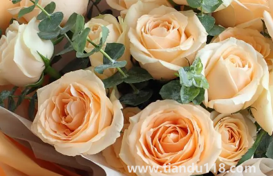 網(wǎng)上買的鮮花要醒花多久(網(wǎng)購鮮花為什么要醒花)(圖2) 網(wǎng)上買的鮮花要醒花多久2