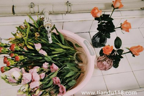 網(wǎng)上買的鮮花先去葉子還是先醒花(醒花時哪些是要注意的)(圖3) 網(wǎng)上買的鮮花先去葉子還是先醒花3