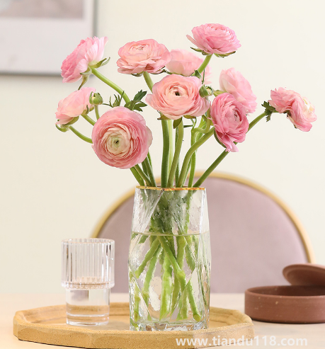 網(wǎng)購(gòu)鮮花如果不醒花能放多久(醒花后花可以活多久)(圖1) 網(wǎng)購(gòu)鮮花如果不醒花能放多久1