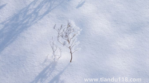 2022立冬過后為什么還這么熱3