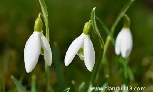 2022年閏二月冷不冷1