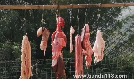 2023年臘月初一殺豬好不好(哪些地方有殺年豬的習(xí)俗)(圖3) 2023年臘月初一殺豬好不好3