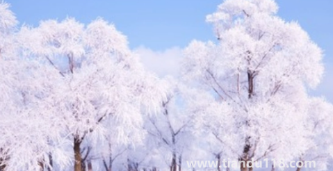 今年三九是最冷的時(shí)候嗎2023(為什么三九天最冷)(圖3) 今年三九是最冷的時(shí)候嗎20233