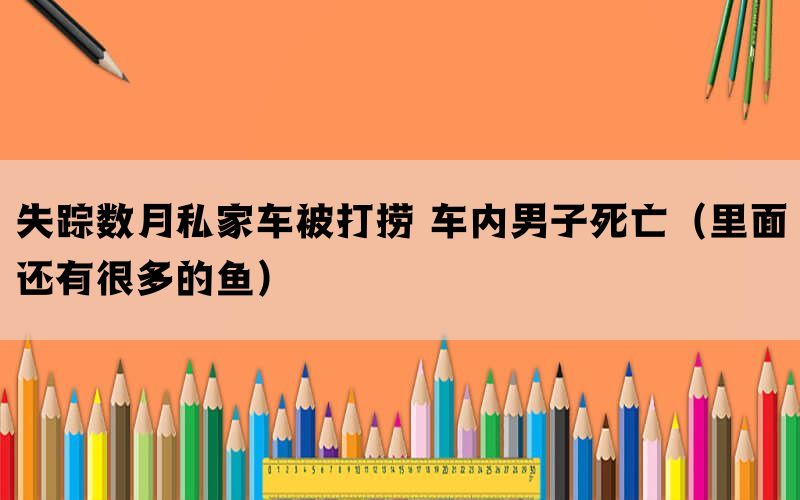 失蹤數(shù)月私家車(chē)被打撈 車(chē)內(nèi)男子死亡（里面還有很多的魚(yú)）