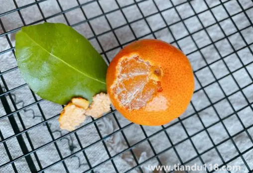 砂糖橘可以化痰嗎（哪些人不能吃砂糖橘）