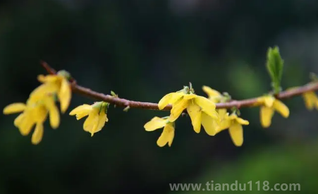 2023躲春時(shí)睡覺好嗎（躲春全天都要躲嗎）