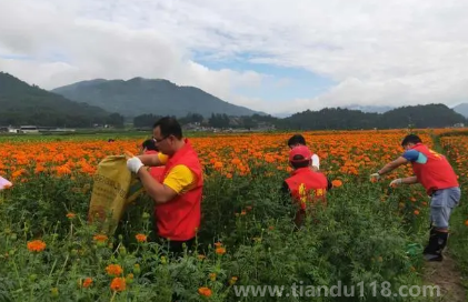 2023年八月社日是哪一天（社日是什么日子）