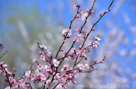 2023立春過(guò)后正常溫度多少度（為什么立春之后天氣變冷了）