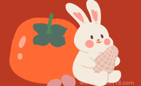 屬兔遇到黑兔年應該帶什么（屬兔遇到黑兔年要注意什么）