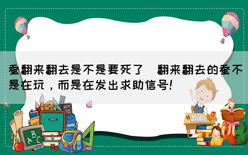 蠶翻來翻去是不是要死了(翻來翻去的蠶不是在玩，而是在發(fā)出求助信號！)