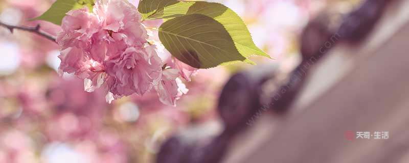 閏四月有啥講究