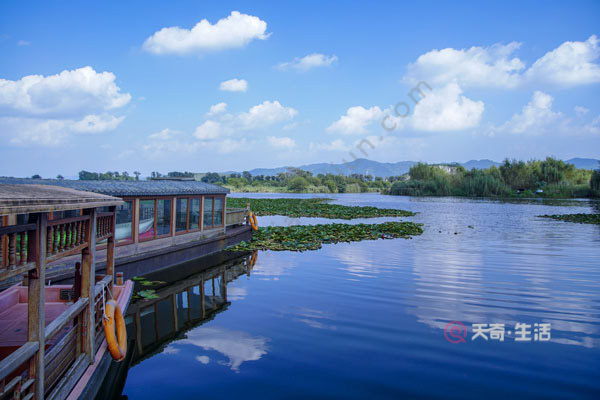 普者黑荷花是什么季節(jié)開的 普者黑荷花是哪個(gè)季節(jié)開的(圖2) 普者黑荷花是什么季節(jié)開的